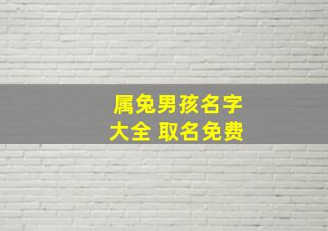 属兔男孩名字大全 取名免费